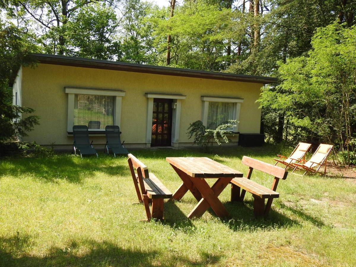 Apartamento Haus Waldfrieden Bad Saarow Exterior foto