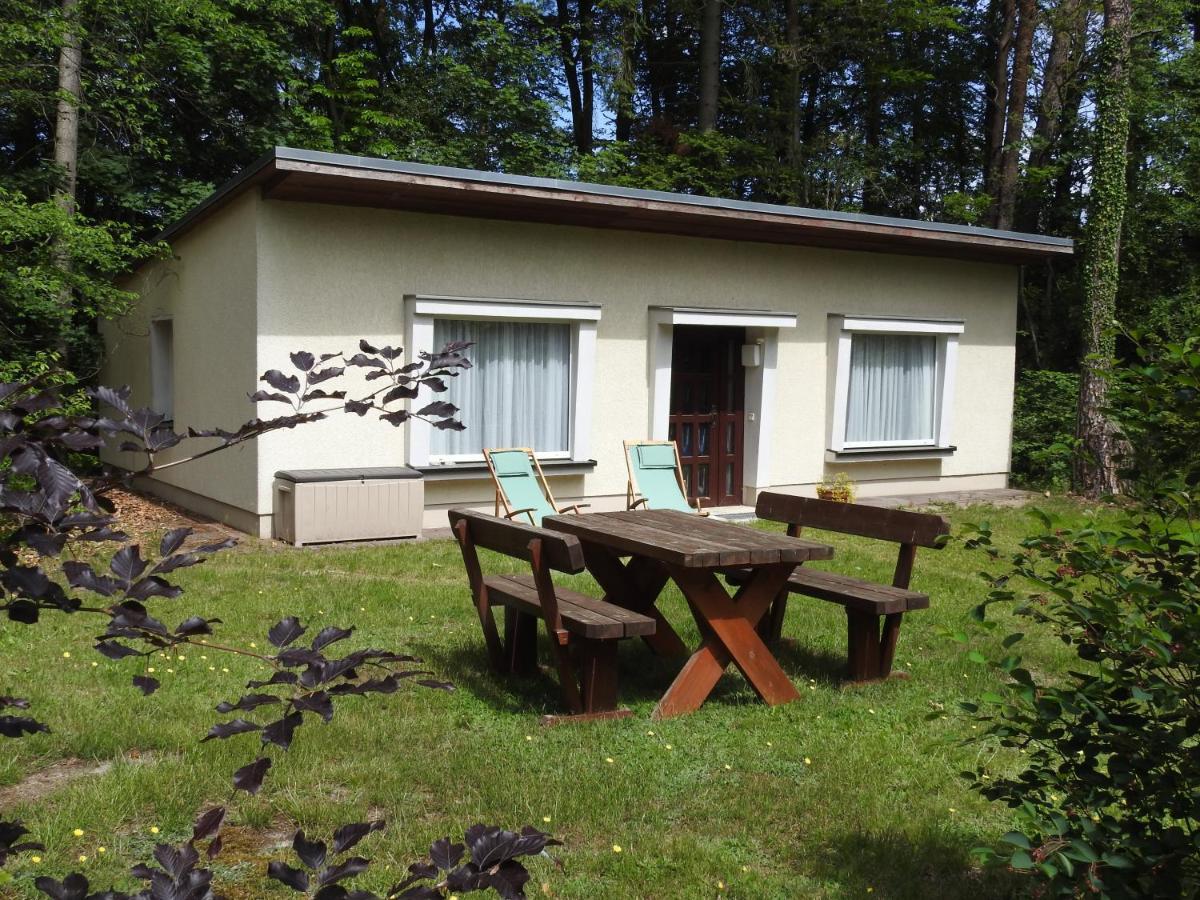 Apartamento Haus Waldfrieden Bad Saarow Exterior foto
